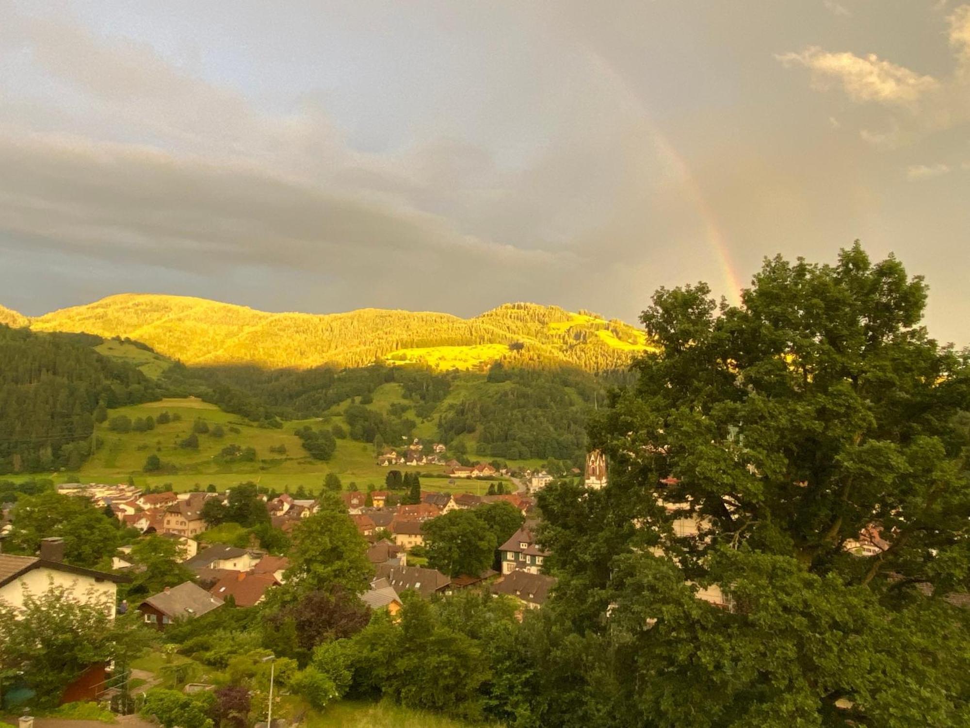 Ferienwohnung Schoenblick Schönau im Schwarzwald Εξωτερικό φωτογραφία
